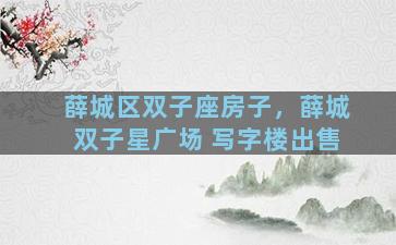 薛城区双子座房子，薛城双子星广场 写字楼出售